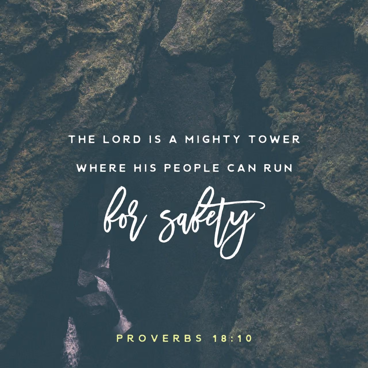 Proverbs 18:10 NKJV