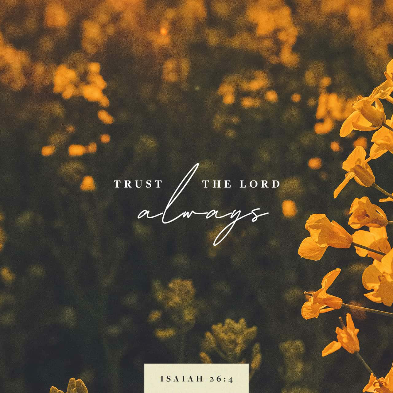 Isaiah 26:4